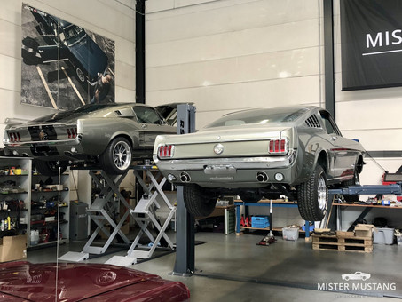 MISTER-MUSTANG